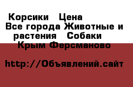 Корсики › Цена ­ 15 000 - Все города Животные и растения » Собаки   . Крым,Ферсманово